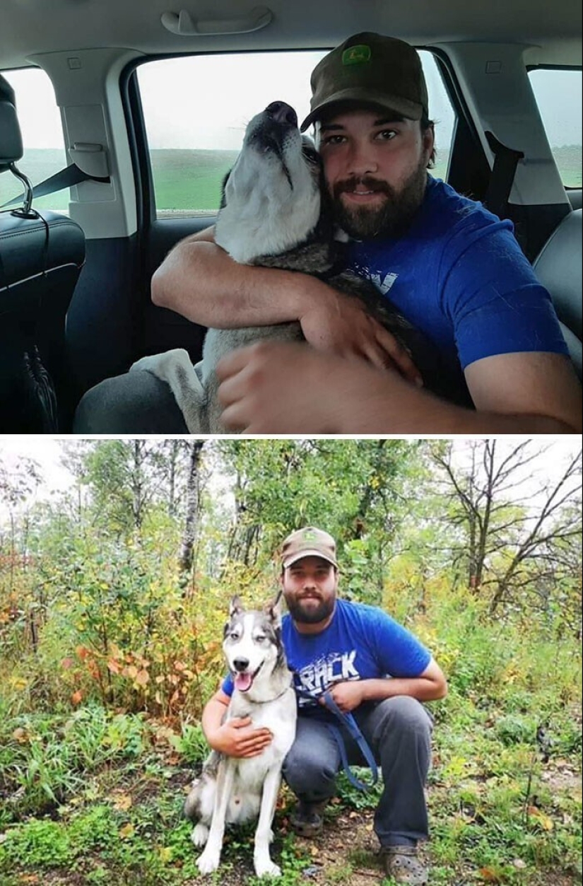 Keep the faith: 20+ touching cases when returned missing dog