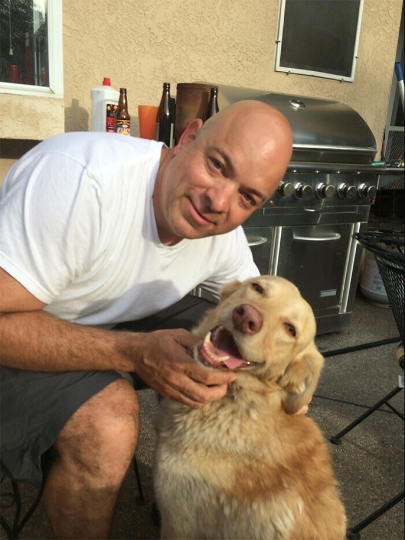 Keep the faith: 20+ touching cases when returned missing dog