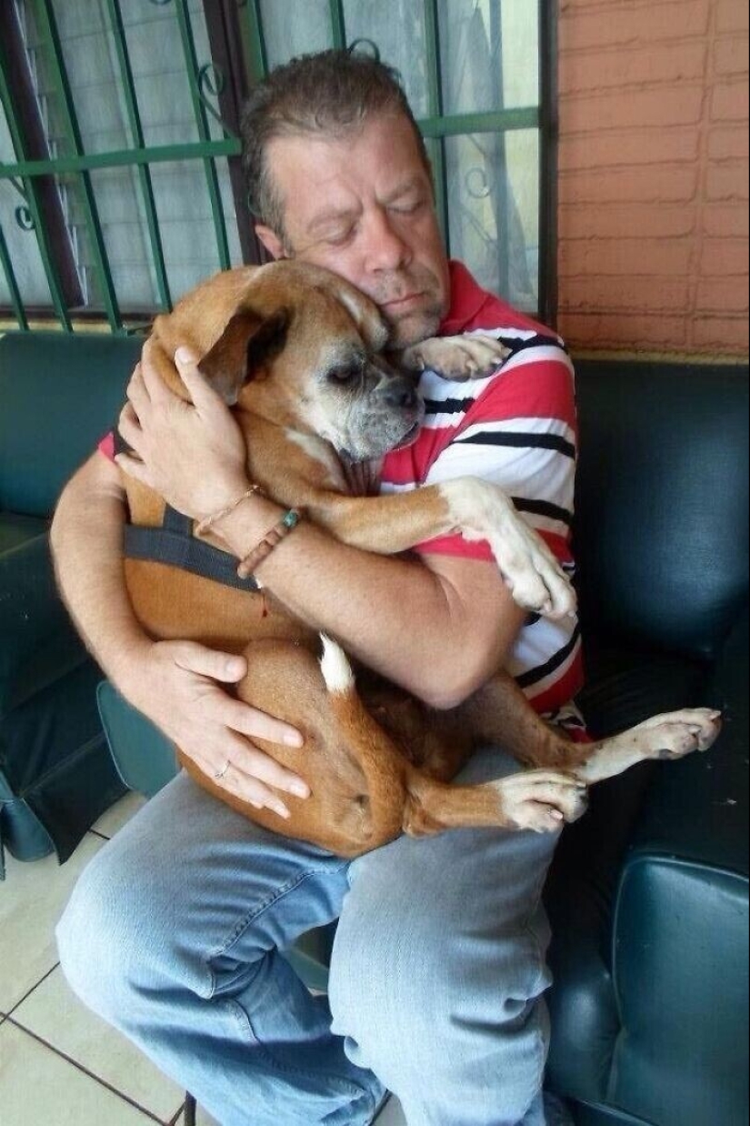 Keep the faith: 20+ touching cases when returned missing dog