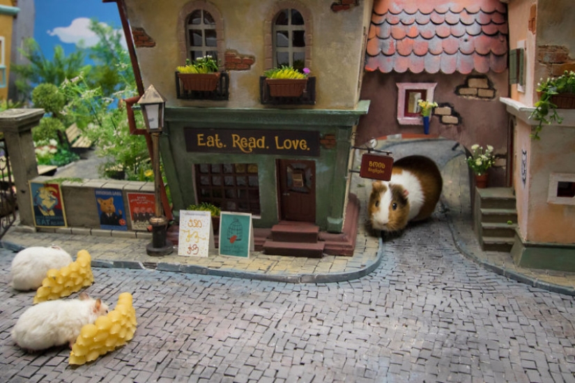 Khomyakopolis es una ciudad de hámsteres en miniatura que se ve mejor que la tuya Khomyakopolis es una ciudad de hámsteres en miniatura que se ve mejor que la tuya
