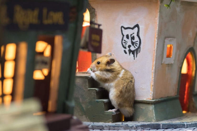 Khomyakopolis es una ciudad de hámsteres en miniatura que se ve mejor que la tuya Khomyakopolis es una ciudad de hámsteres en miniatura que se ve mejor que la tuya