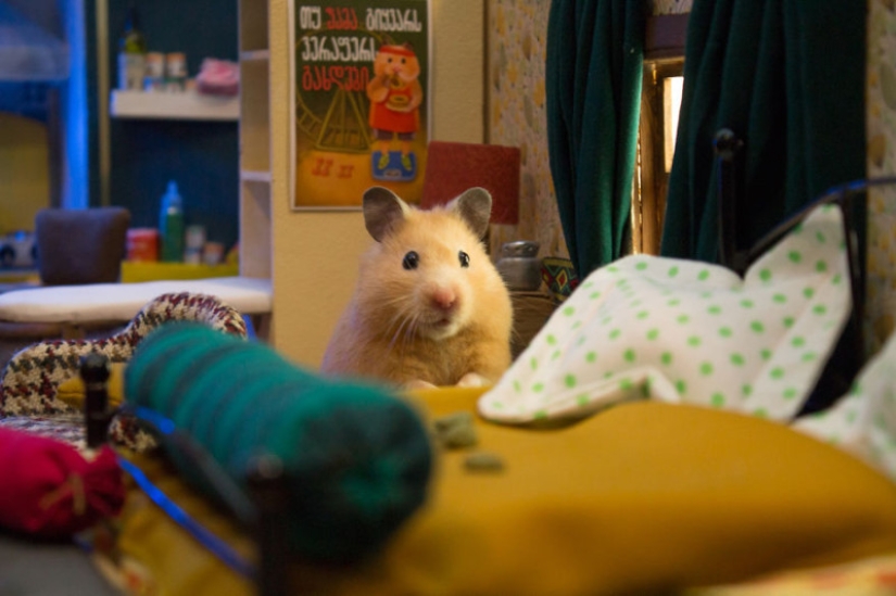 Khomyakopolis is a miniature hamster city that looks better than yours Khomyakopolis is a miniature hamster city that looks better than yours