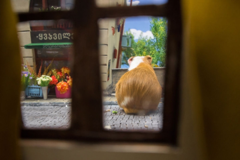 Khomyakopolis is a miniature hamster city that looks better than yours Khomyakopolis is a miniature hamster city that looks better than yours