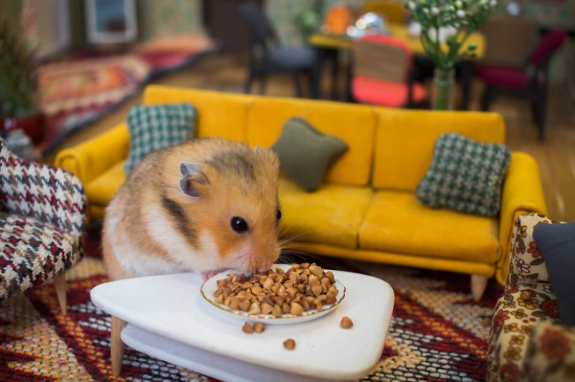 Khomyakopolis is a miniature hamster city that looks better than yours Khomyakopolis is a miniature hamster city that looks better than yours
