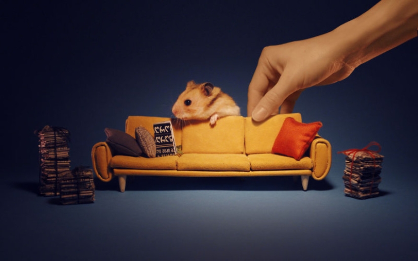 Khomyakopolis is a miniature hamster city that looks better than yours Khomyakopolis is a miniature hamster city that looks better than yours