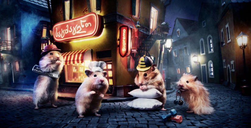 Khomyakopolis is a miniature hamster city that looks better than yours Khomyakopolis is a miniature hamster city that looks better than yours