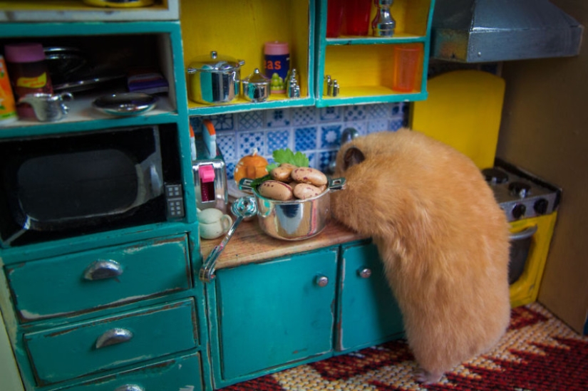 Khomyakopolis is a miniature hamster city that looks better than yours Khomyakopolis is a miniature hamster city that looks better than yours