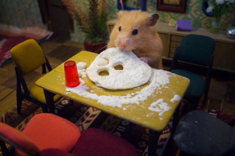 Khomyakopolis is a miniature hamster city that looks better than yours Khomyakopolis is a miniature hamster city that looks better than yours
