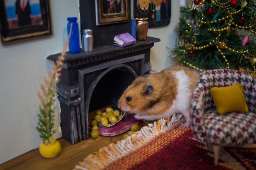 Khomyakopolis is a miniature hamster city that looks better than yours Khomyakopolis is a miniature hamster city that looks better than yours