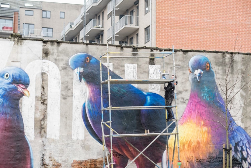 ¿Kurls-kurls? Artista callejero Super A y sus Palomas Gigantes