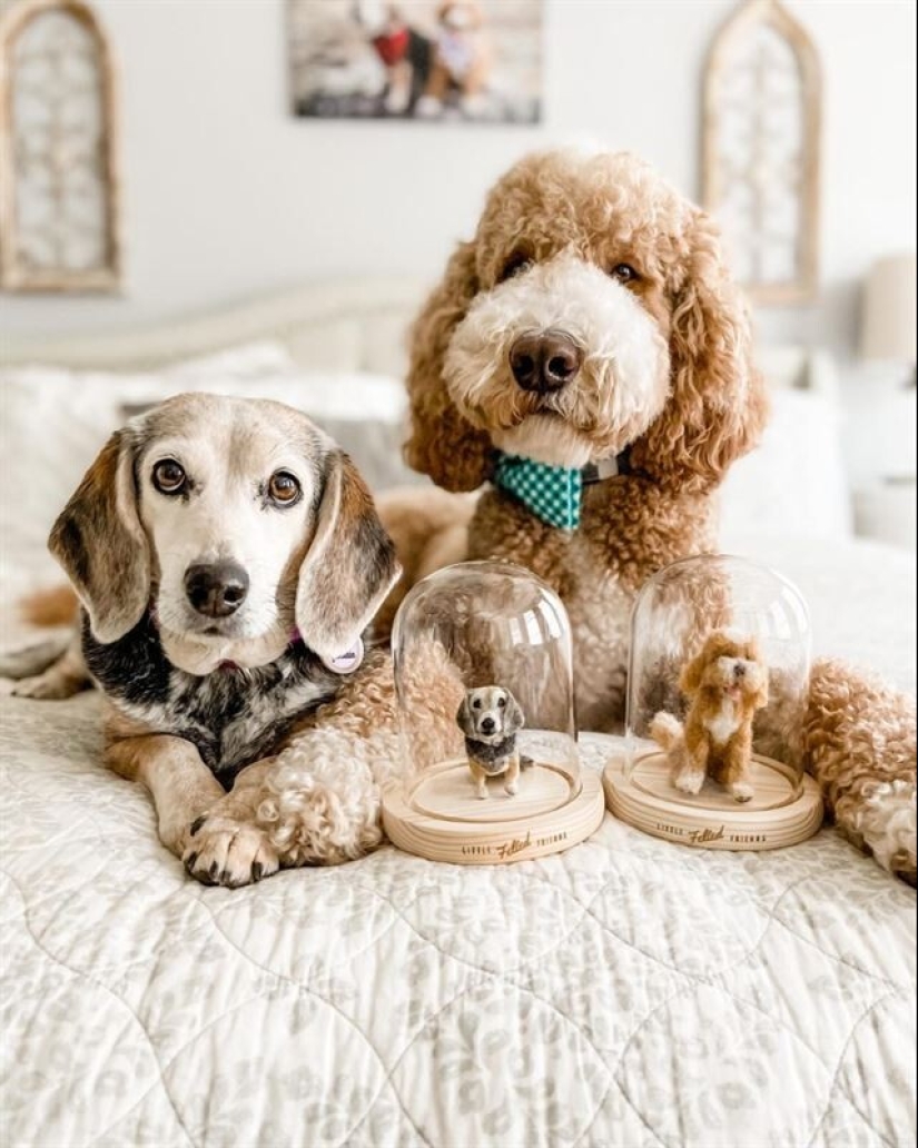 La artista Alison Gurney crea mini réplicas de animales en fieltro La artista Alison Gurney crea mini réplicas de animales en fieltro