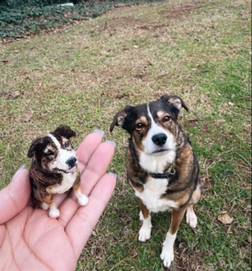 La artista Alison Gurney crea mini réplicas de animales en fieltro La artista Alison Gurney crea mini réplicas de animales en fieltro