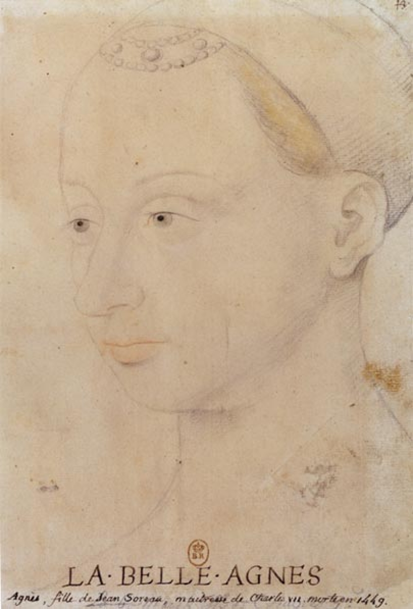 La bella Inés: cómo se veía en la vida el favorito del rey, representado en el díptico de Melensky La bella Inés: cómo se veía en la vida el favorito del rey, representado en el díptico de Melensky