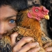 La belleza de los animales en 14 fotografías de Guru Charan La belleza de los animales en 14 fotografías de Guru Charan