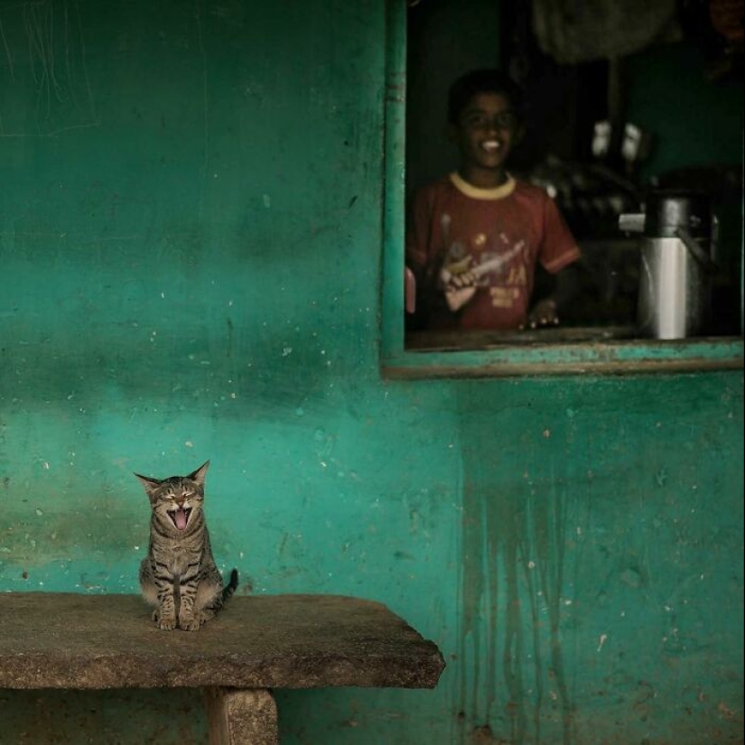 La belleza de los animales en 14 fotografías de Guru Charan La belleza de los animales en 14 fotografías de Guru Charan