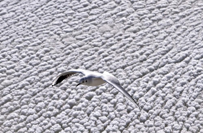 La belleza del invierno La belleza del invierno