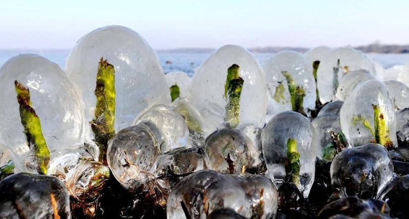 La belleza del invierno La belleza del invierno