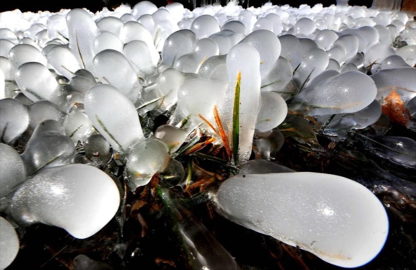 La belleza del invierno La belleza del invierno