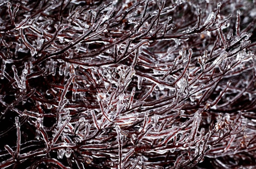 La belleza del invierno La belleza del invierno