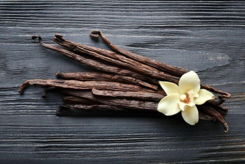 La canela, el wasabi y otros productos populares-simulación en el que creemos erróneamente que ser real