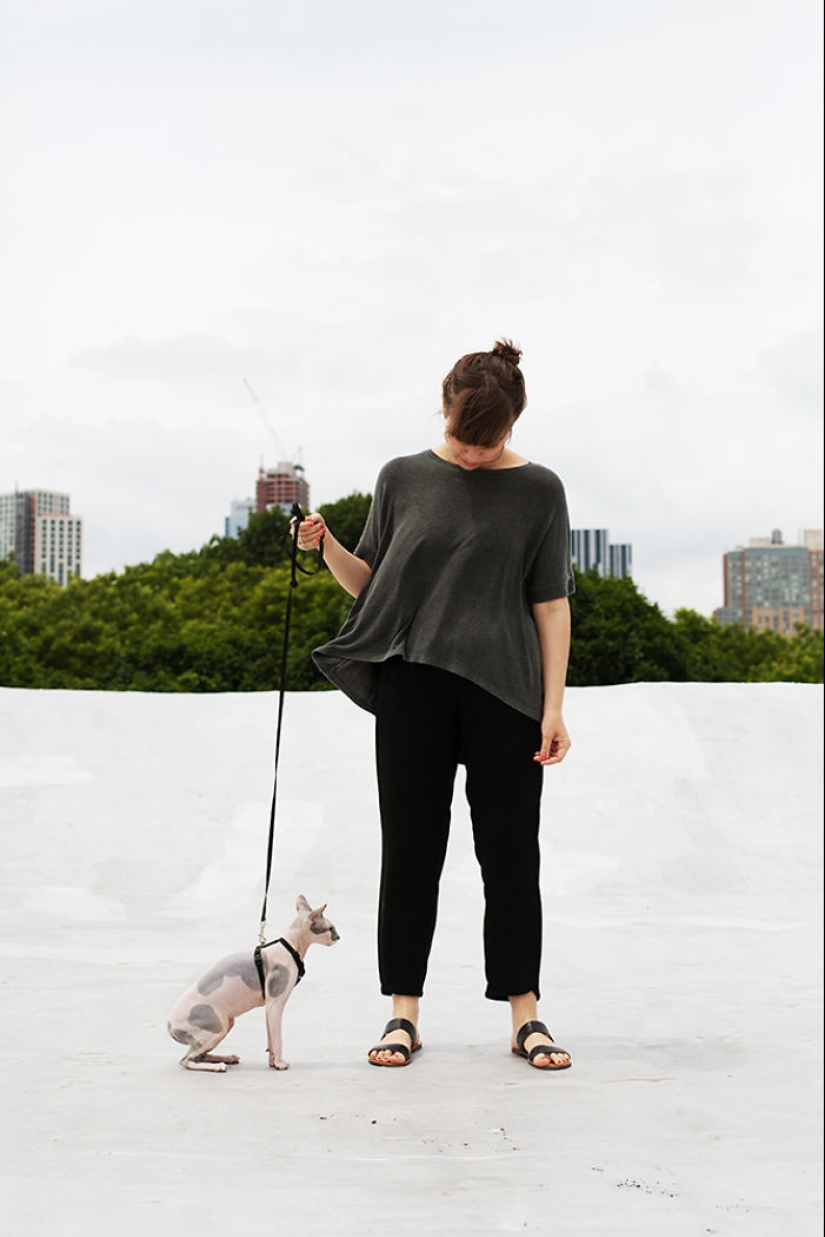 La chica, al abrigo de gatos sin hogar La chica, al abrigo de gatos sin hogar
