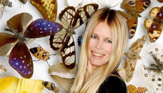 La colección de insectos de Claudia Schiffer y 14 pasatiempos secretos de celebridades más La colección de insectos de Claudia Schiffer y 14 pasatiempos secretos de celebridades más