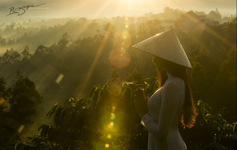 La encantadora belleza de Vietnam