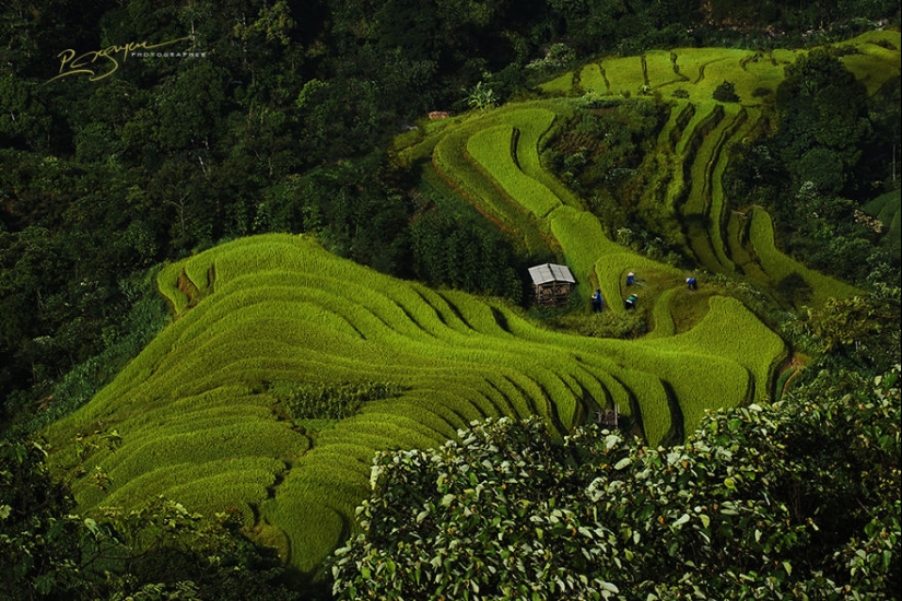 La encantadora belleza de Vietnam