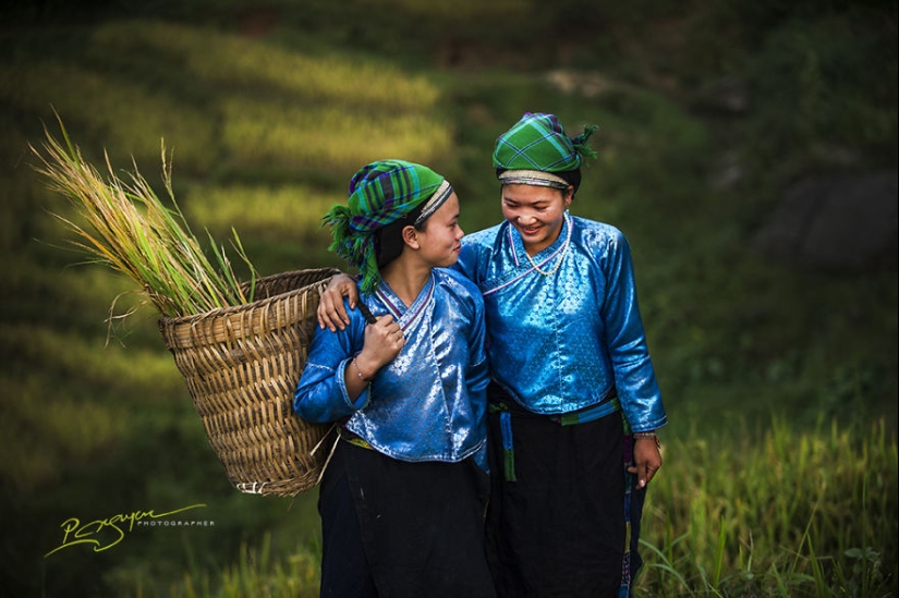 La encantadora belleza de Vietnam