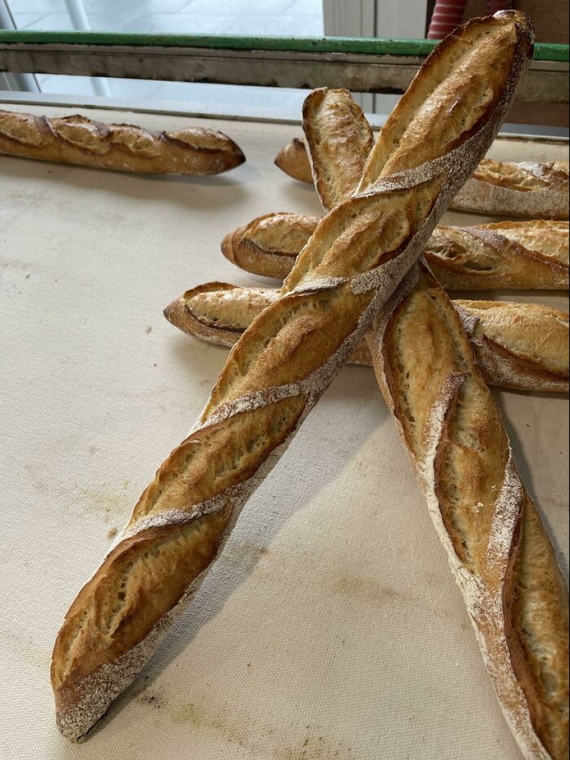 La gente comparte fotos de comida casi perfecta, aquí están los 50 más bellos La gente comparte fotos de comida casi perfecta, aquí están los 50 más bellos