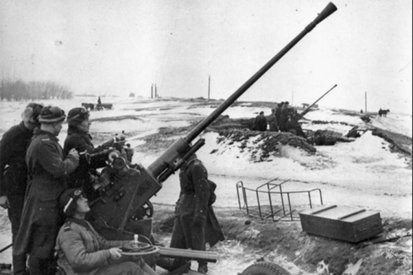 La hazaña del chofer soviético: Cómo Maxim Tverdokhleb entregó mandarinas a los niños de Leningrado asediado La hazaña del chofer soviético: Cómo Maxim Tverdokhleb entregó mandarinas a los niños de Leningrado asediado