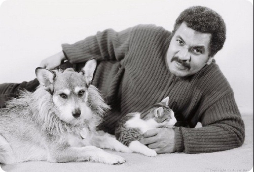 La historia de Ginny, una perra con un corazón de oro, que una vez se convirtió en el "Gato del Año" La historia de Ginny, una perra con un corazón de oro, que una vez se convirtió en el "Gato del Año"