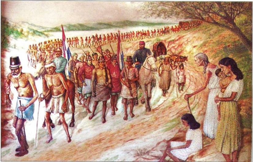 La historia de la Gran Guerra Paraguaya: sin sentido y sin piedad La historia de la Gran Guerra Paraguaya: sin sentido y sin piedad