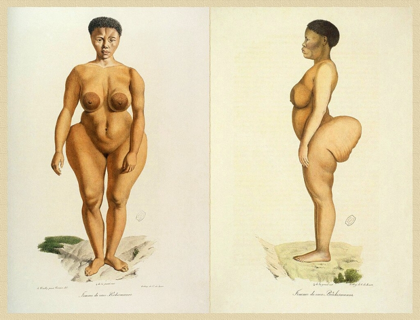 La historia de la Venus Negra: El trágico destino del "hombre de exhibición" Saartjie Baartman