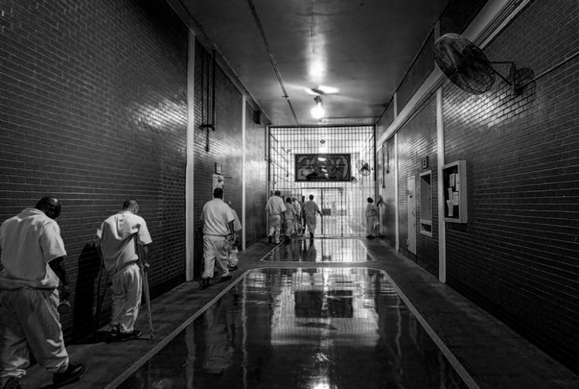 La historia de Michael Tavis de pornoillimite con las manos manchadas en sangre La historia de Michael Tavis de pornoillimite con las manos manchadas en sangre