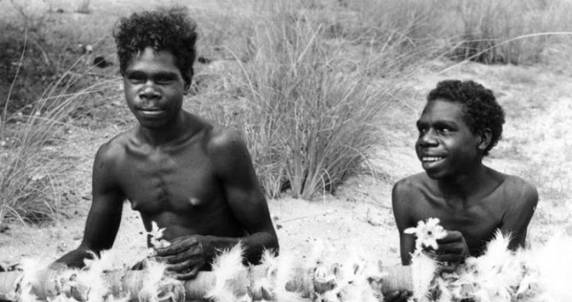 La historia de Romeo y Julieta australianos, que rompieron con todo el mundo por el bien de su amor