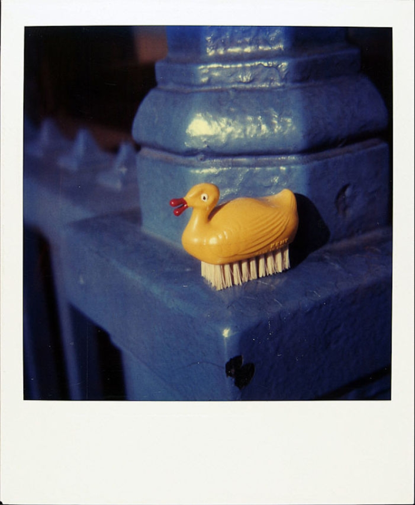 La historia de un hombre que filmó todos los días en Polaroid durante 18 años hasta que el cáncer le robó la vida La historia de un hombre que filmó todos los días en Polaroid durante 18 años hasta que el cáncer le robó la vida