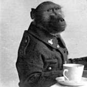 La historia del Cabo Jackie, el héroe más inusual de la Primera Guerra Mundial