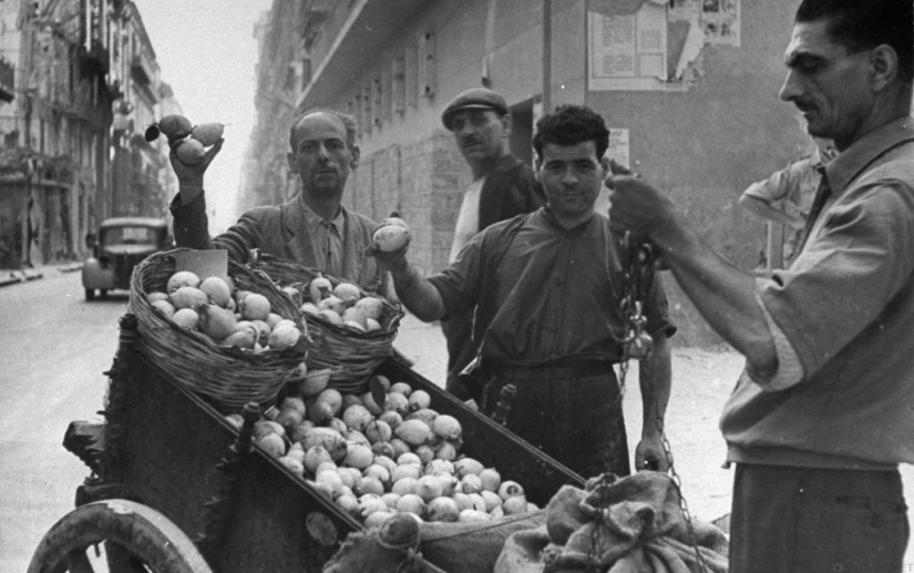 La mafia siciliana: cómo la demanda de limones dio origen a la organización criminal más poderosa del mundo La mafia siciliana: cómo la demanda de limones dio origen a la organización criminal más poderosa del mundo