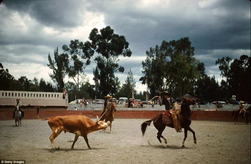 La Riviera Mexicana de la década de 1950, cuando Acapulco aún no era el feudo de los traficantes de drogas La Riviera Mexicana de la década de 1950, cuando Acapulco aún no era el feudo de los traficantes de drogas