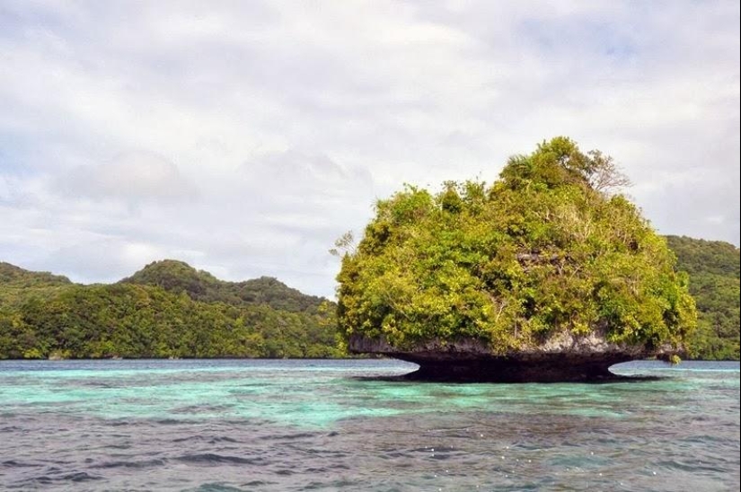 La rocosa isla de Palau La rocosa isla de Palau
