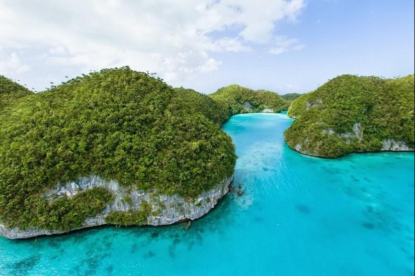 La rocosa isla de Palau La rocosa isla de Palau