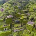 La terrible belleza de sabrosas: 20 lugares, que son todos los olvidados La terrible belleza de sabrosas: 20 lugares, que son todos los olvidados