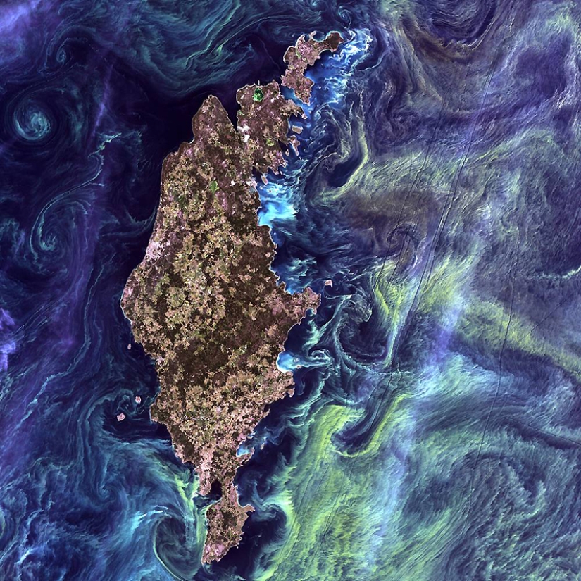 La Tierra como obra de arte La Tierra como obra de arte