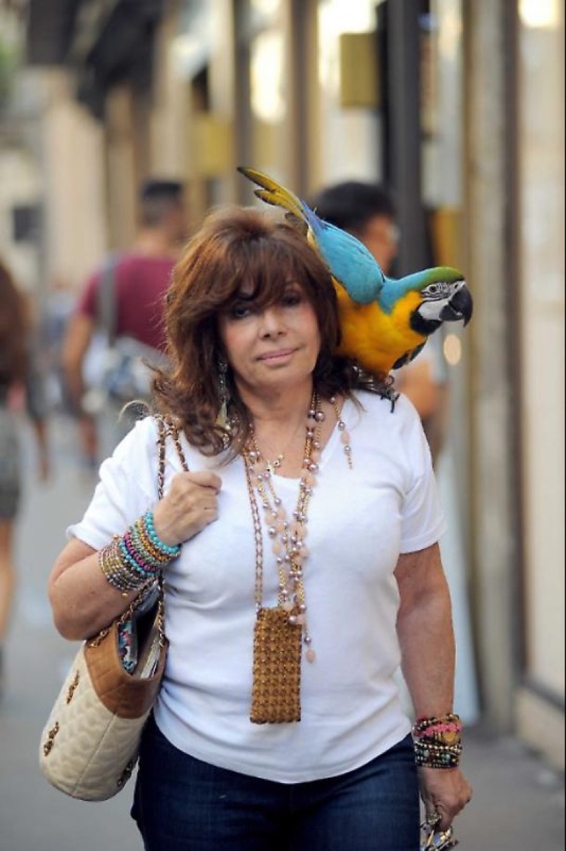 La venganza de la "Viuda Negra": Cómo el amor y el dinero arruinaron al heredero del imperio Gucci