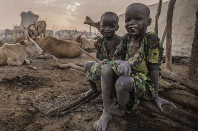 La vida cotidiana del pueblo dinka de África: mujeres que no reconocen la ropa, cáncer derrotado y búfalos