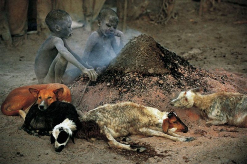 La vida cotidiana del pueblo dinka de África: mujeres que no reconocen la ropa, cáncer derrotado y búfalos