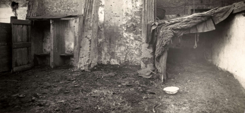 La vida de los gitanos en Europa antes de la Segunda Guerra Mundial