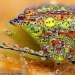 La vida de los insectos: increíble fotografía macro por Alexander Mette La vida de los insectos: increíble fotografía macro por Alexander Mette