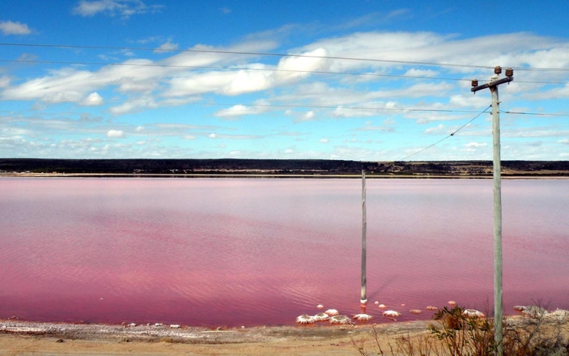 Lago rosa en Senegal